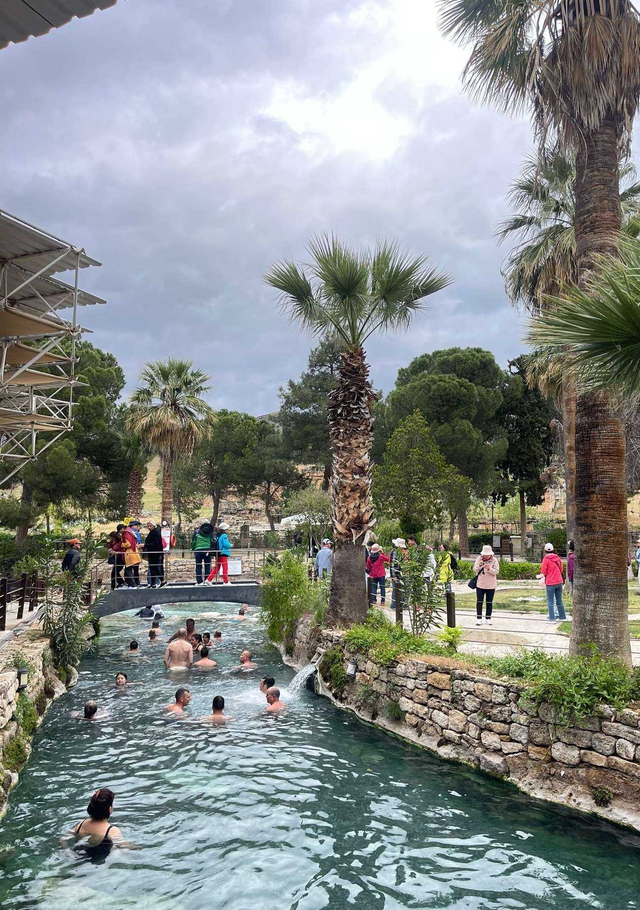 Отзывы на компанию Sarabi special service в Краснодаре c фото