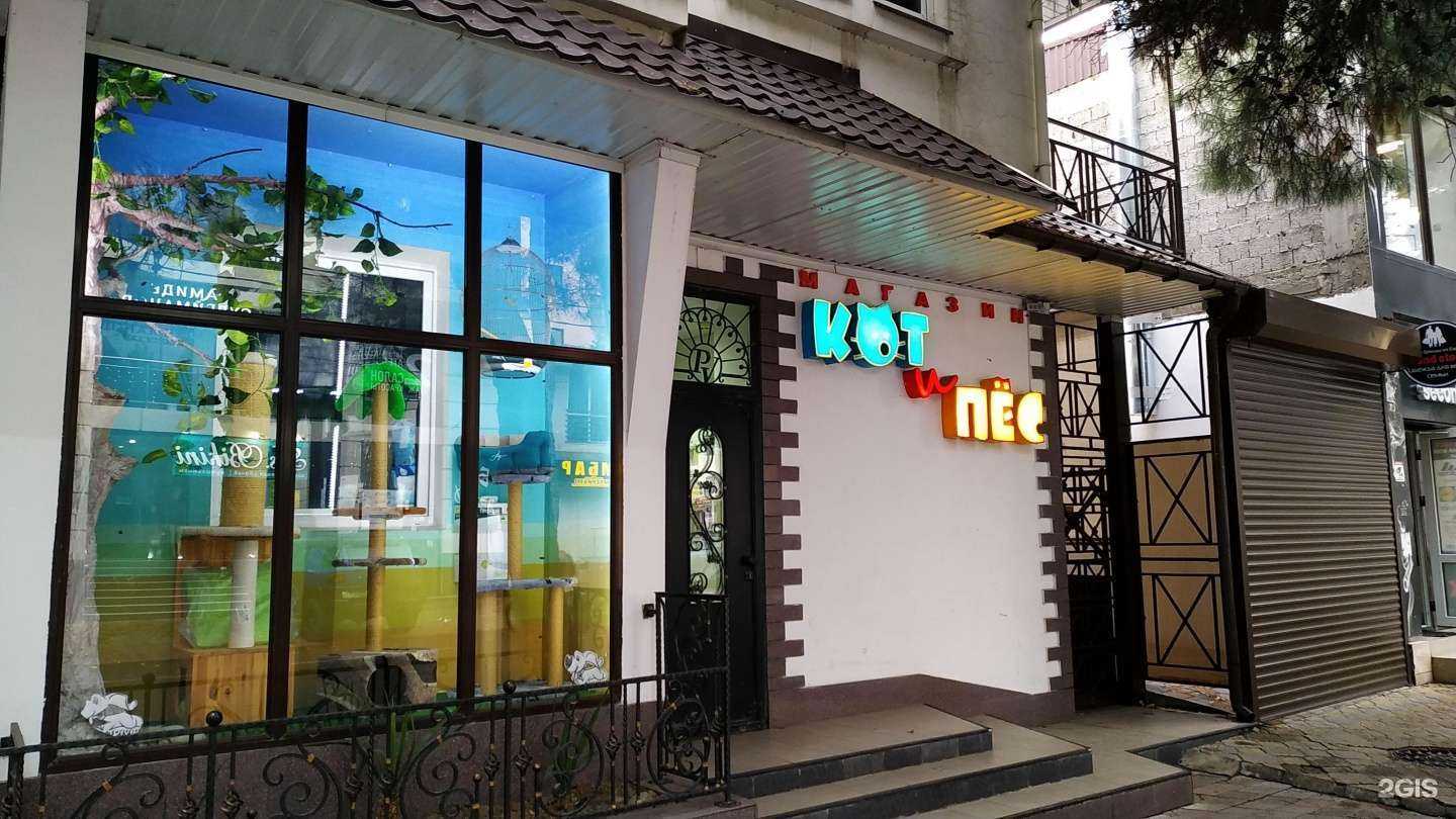 Отзывы на компанию Кот и пес в Анапе c фото