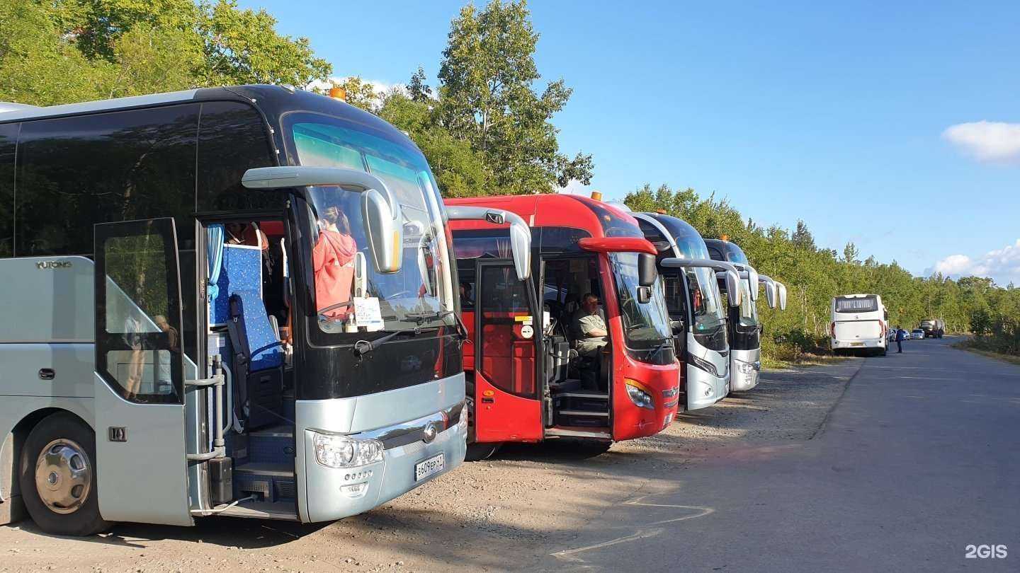 Отзывы на компанию BusKam в Петропавловске-Камчатском c фото