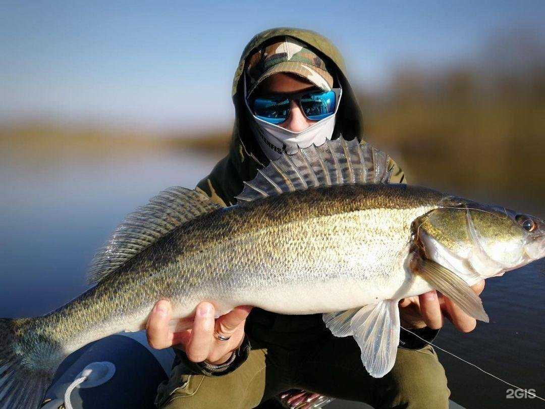 Отзывы на компанию GreenFish в Краснодаре c фото