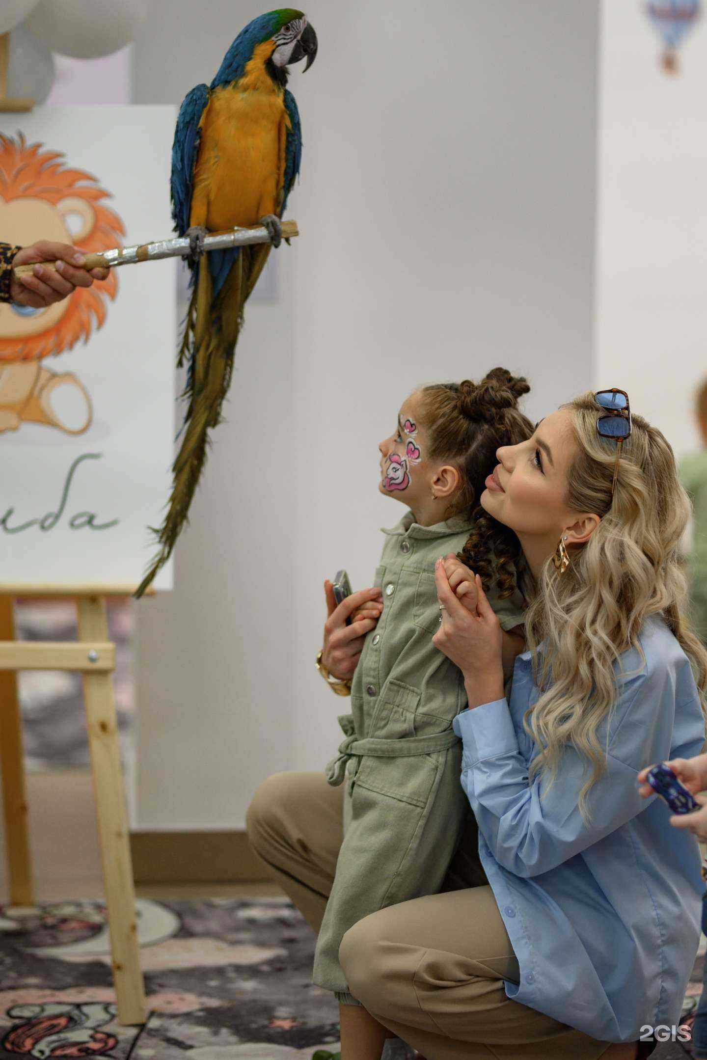 Отзывы на компанию Симба в Липецке c фото