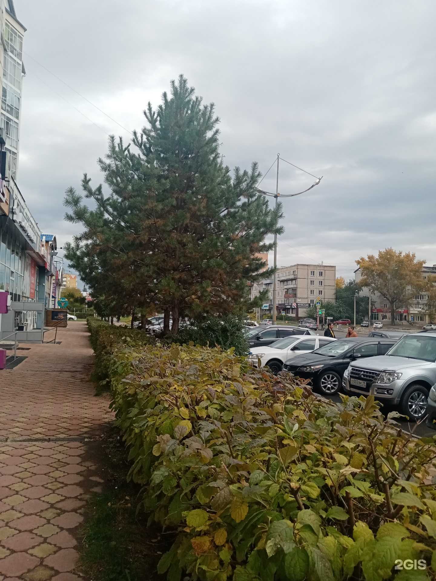 Отзывы на компанию Tomili_hair в Абакане c фото