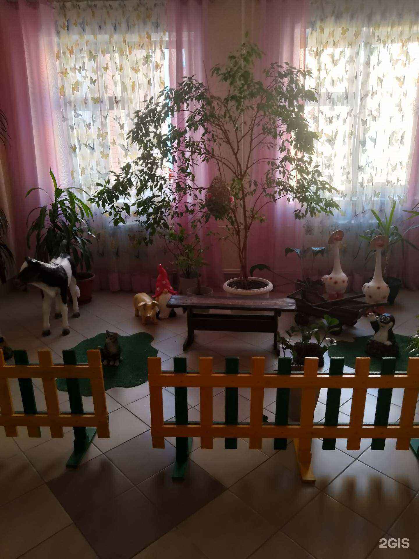 Отзывы на компанию Детский сад №54 в Новосибирске c фото