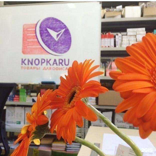 Отзывы на компанию Knopkaru.ru в Саранске c фото