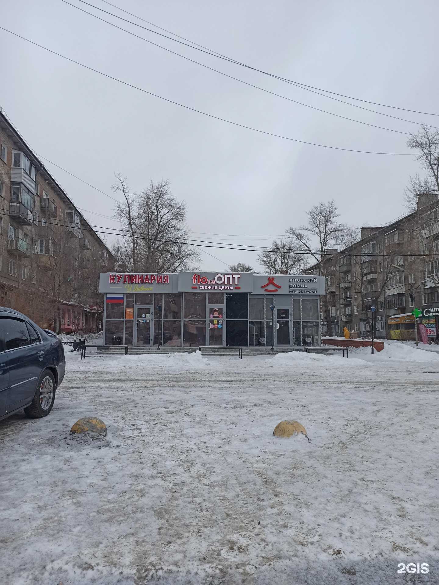 Отзывы на компанию FloraОПТ в Омске c фото - фотография 2 из 2