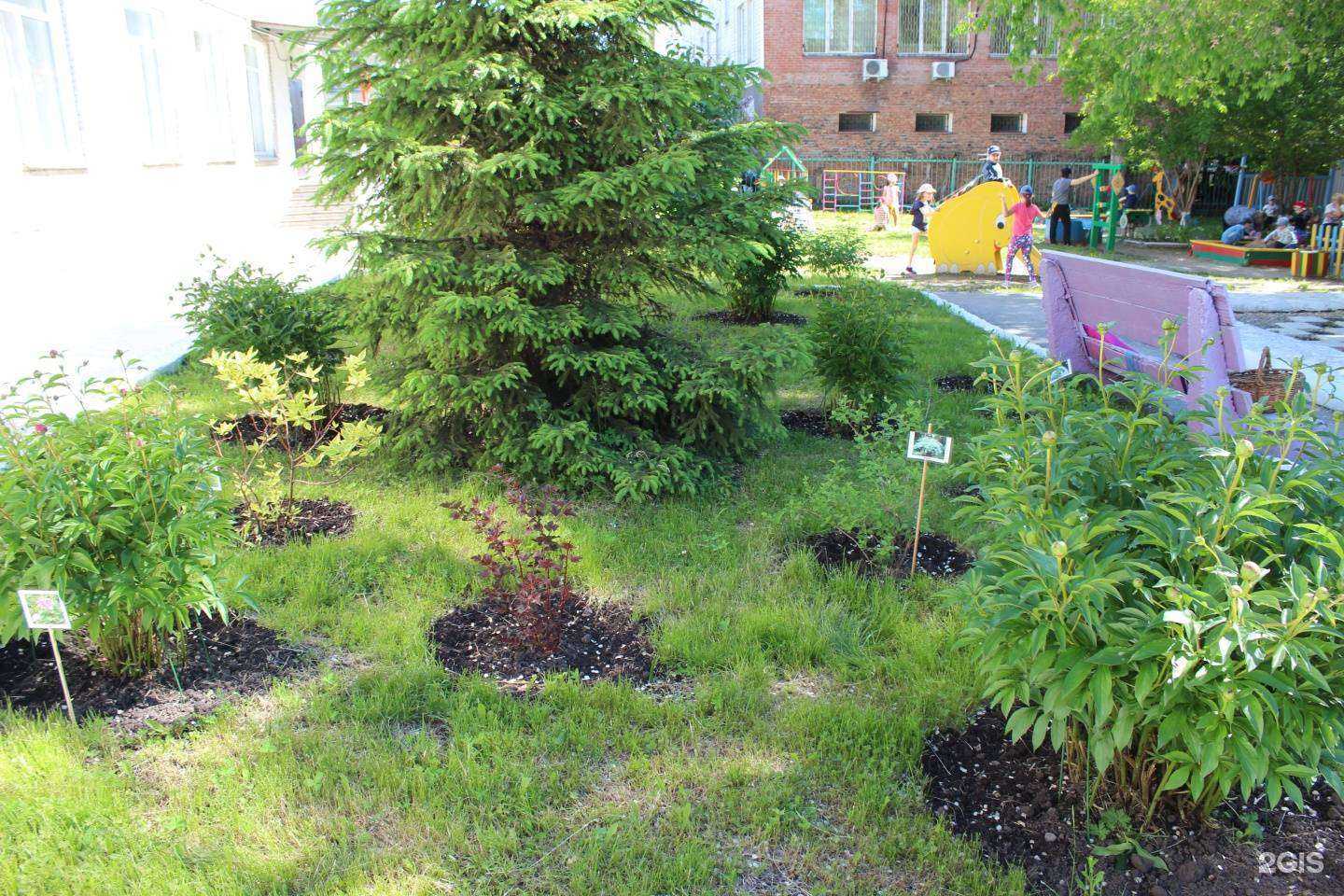 Отзывы на компанию Детский сад №325 в Новосибирске c фото