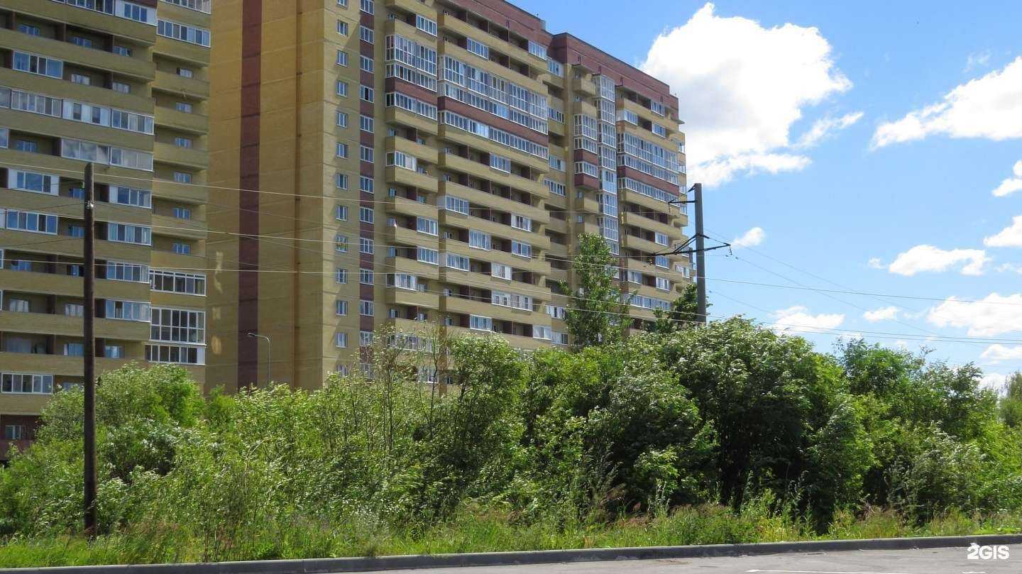 Отзывы на компанию Vladislava_brows72 в Тюмени c фото - фотография 2 из 2