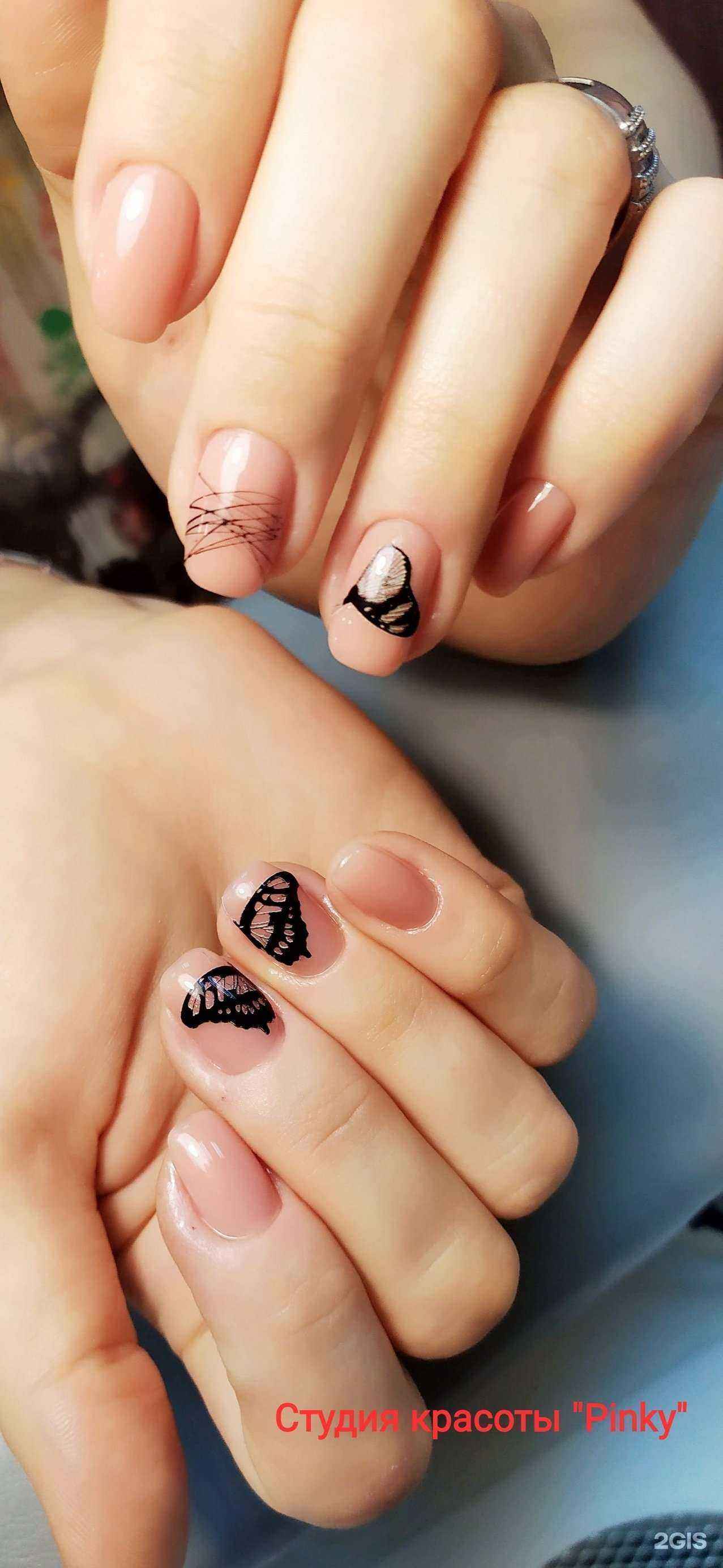 Отзывы на компанию Pinky в Новосибирске c фото