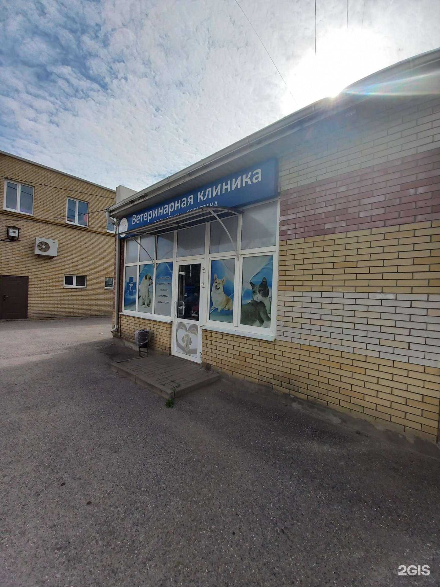 Отзывы на компанию Ай-Болит в г. Таганрог c фото