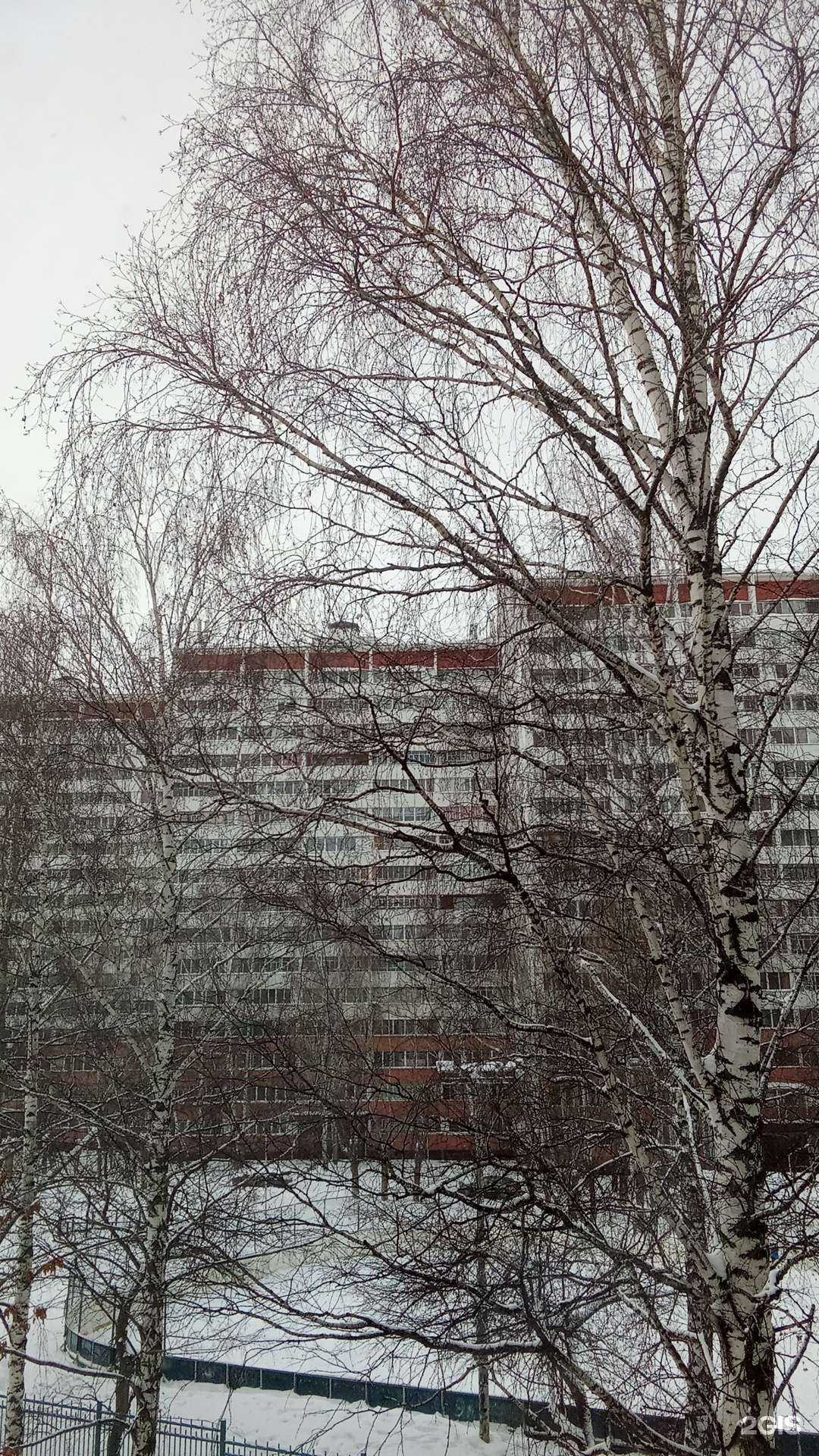 Отзывы на компанию Лидер в Набережных Челнах c фото