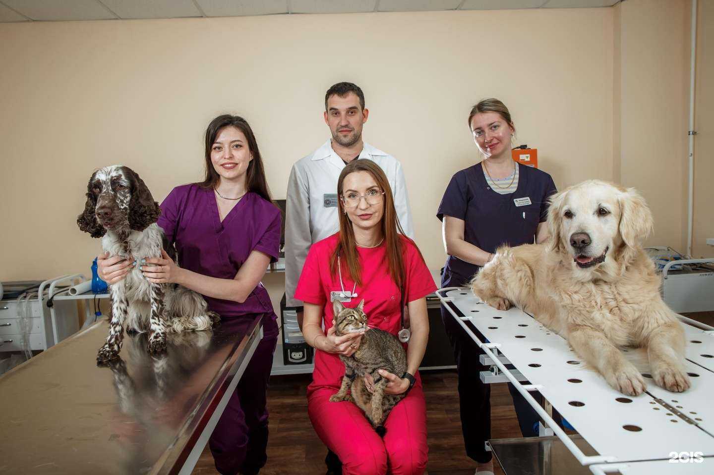 Отзывы на компанию Центр ветеринарии в Волгограде c фото