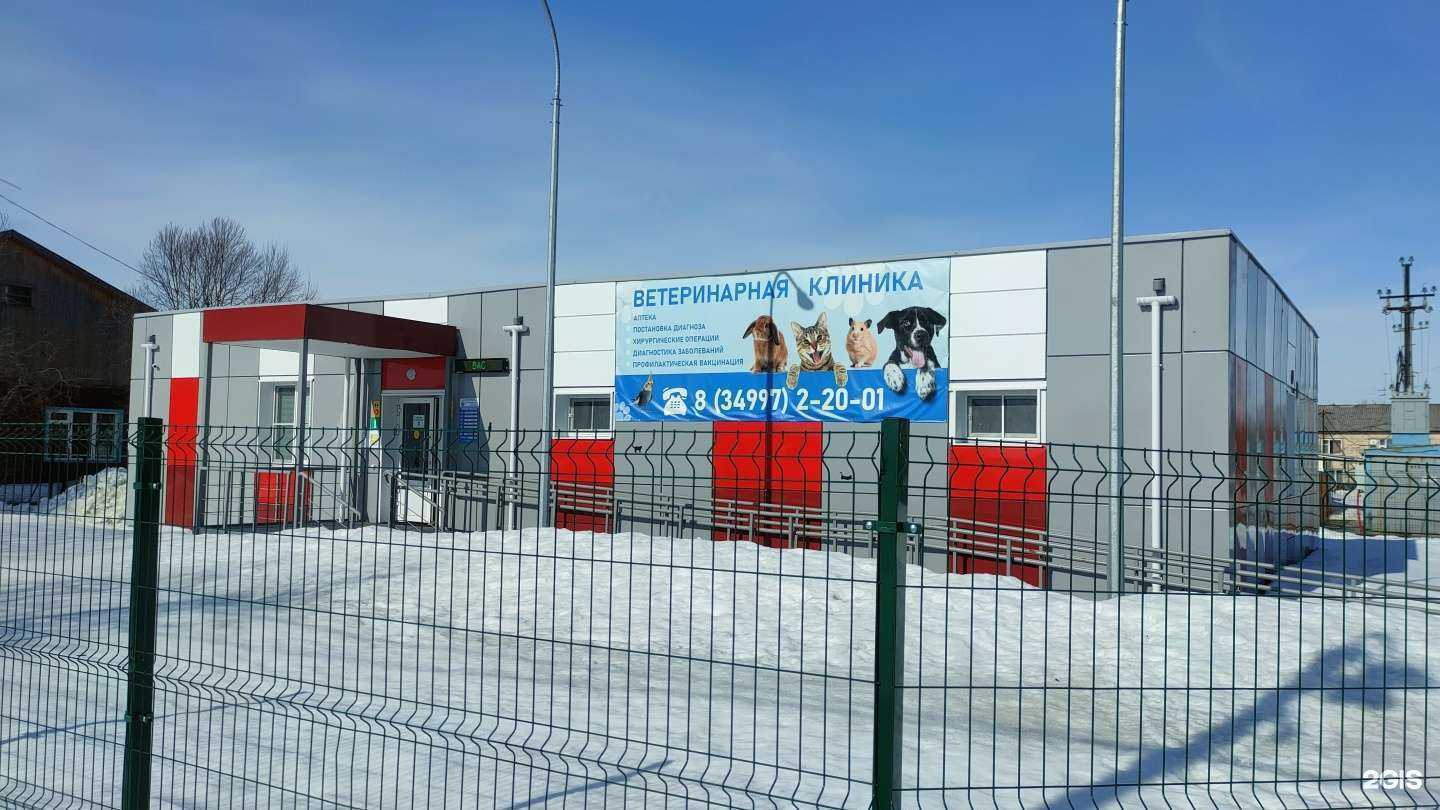 Отзывы на компанию Ветеринарная клиника в Тарко-Сале c фото - фотография 2 из 2
