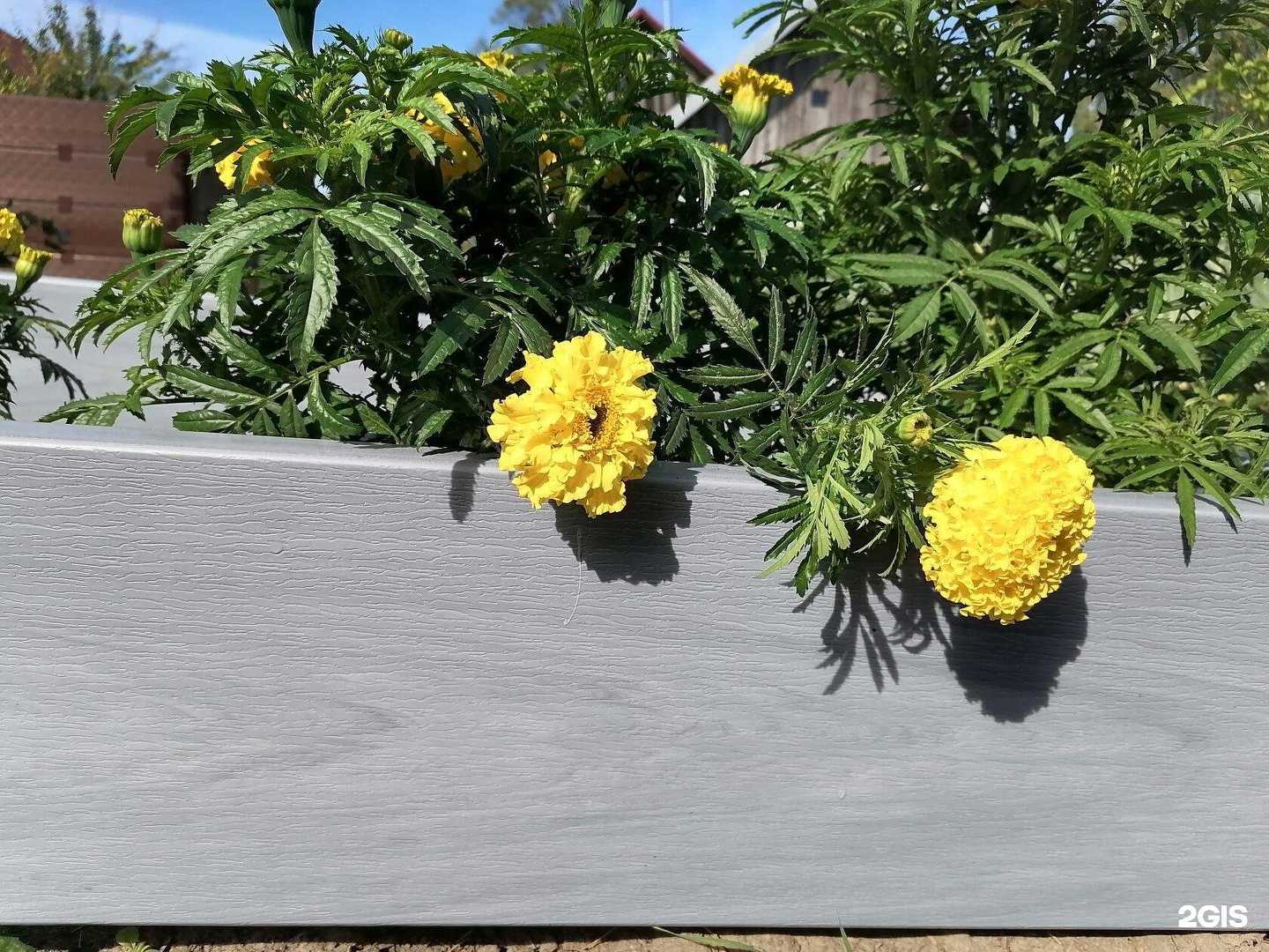 Отзывы на компанию 33 Урожая в г. Александров c фото