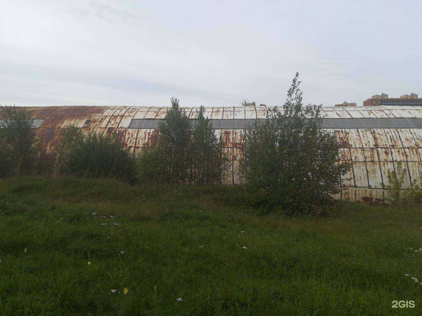 Отзывы на компанию Компания по аренде спортивных залов в Иркутске c фото - фотография 2 из 2