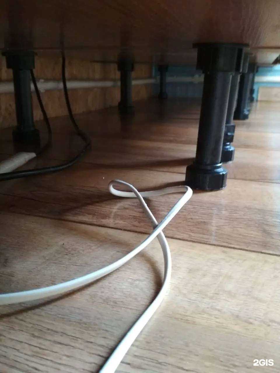 Отзывы на компанию Попугай клининг в Кургане c фото