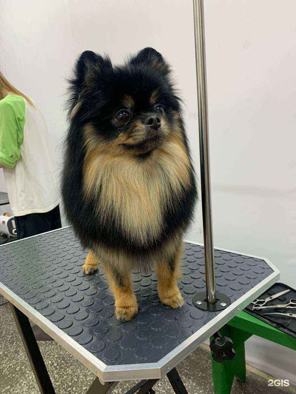 Отзывы на компанию Симуран в г. Бийск c фото