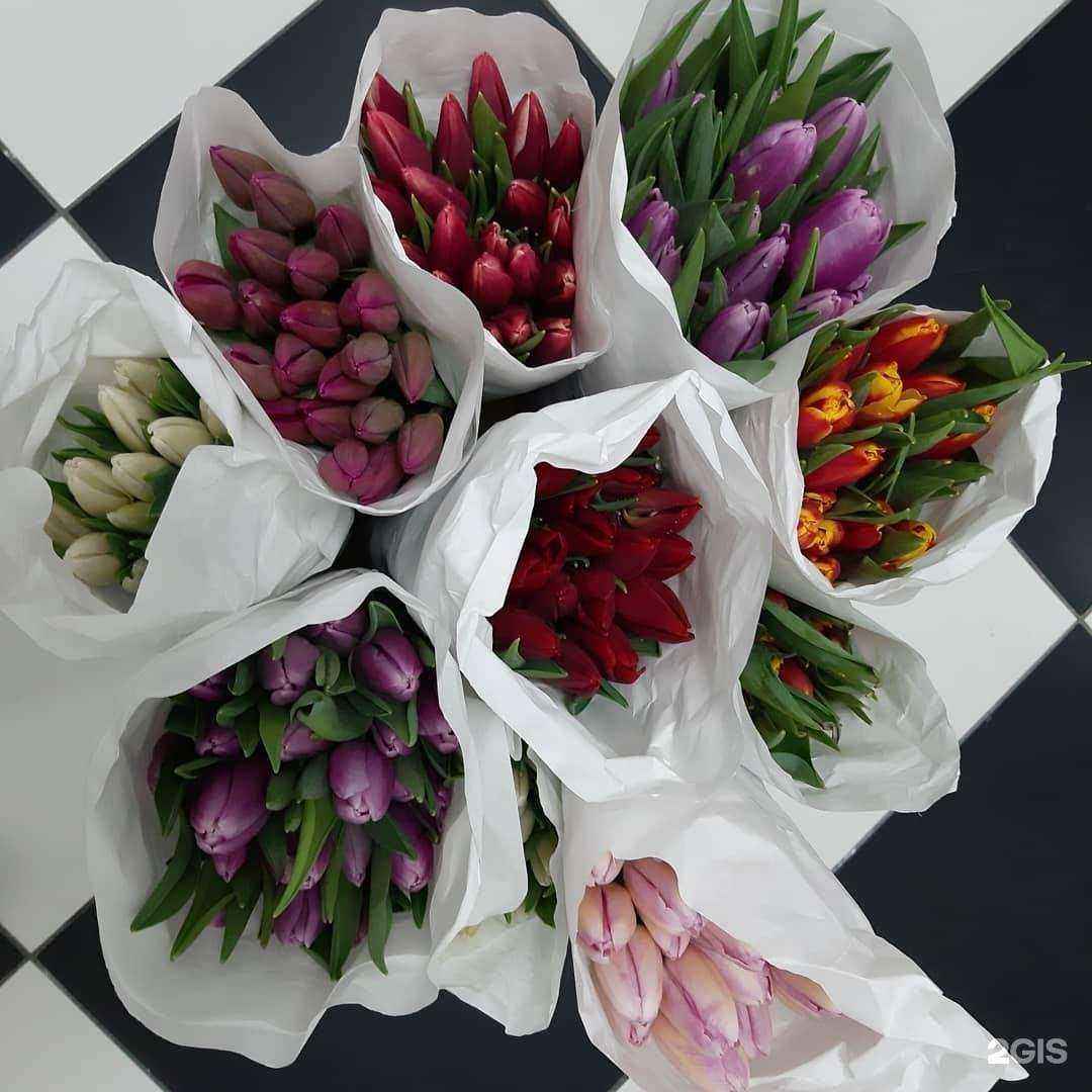 Отзывы на компанию Акация в г. Самара c фото