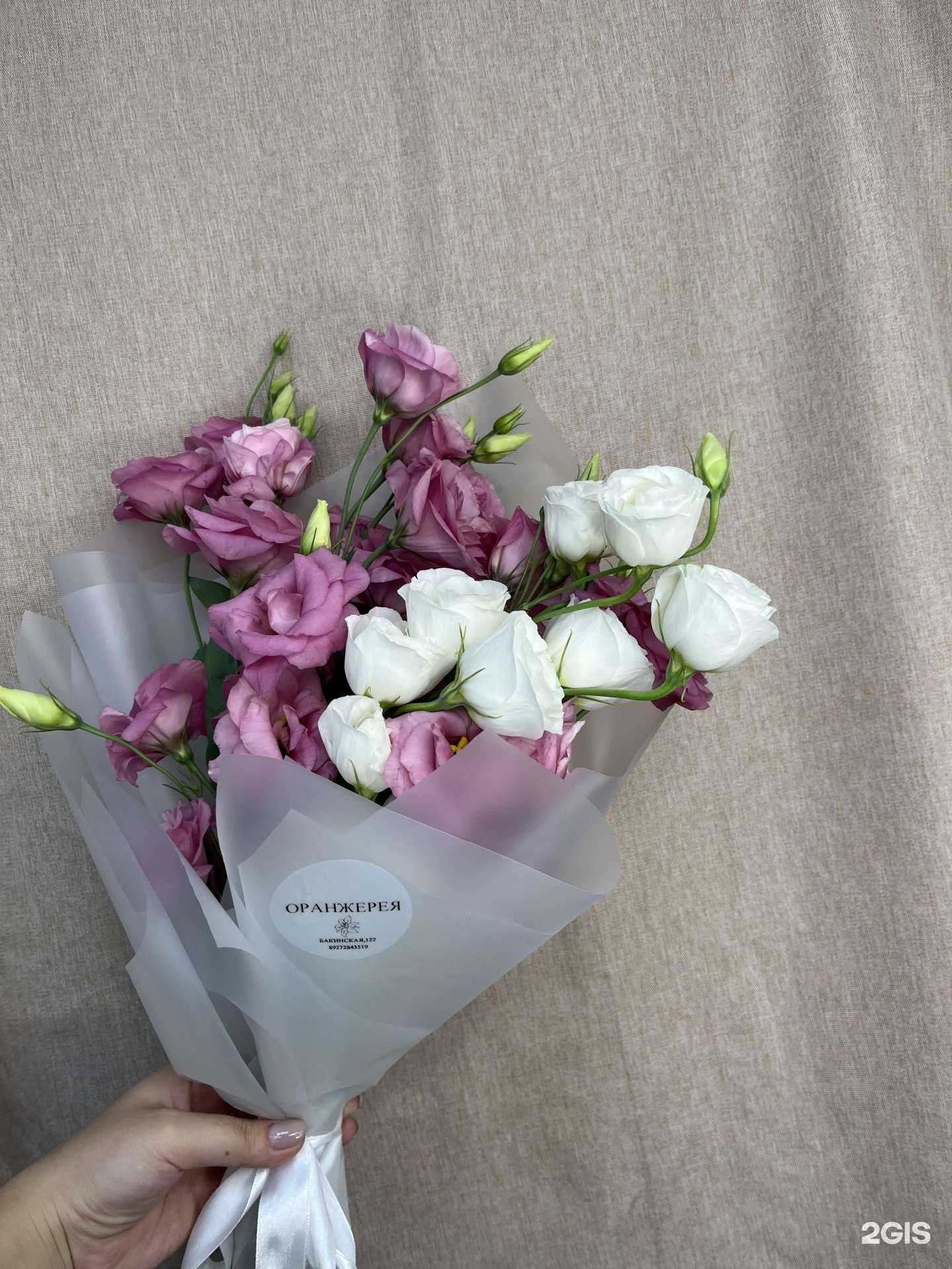 Отзывы на компанию Оранжерея в Астрахани c фото