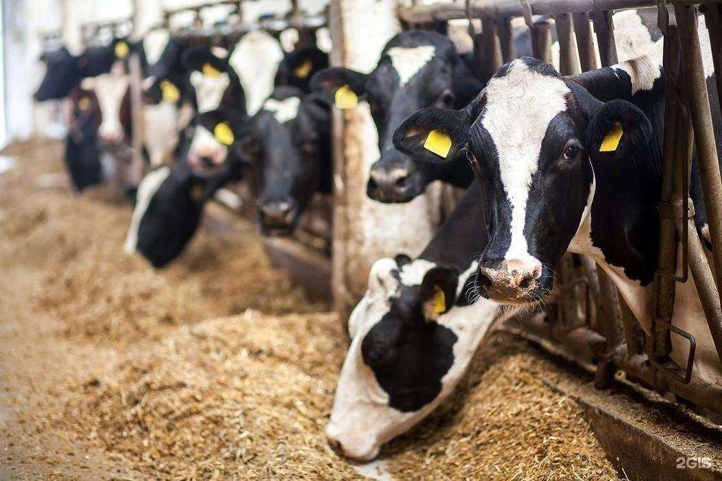 Отзывы на компанию РТИ-16 в Набережных Челнах c фото