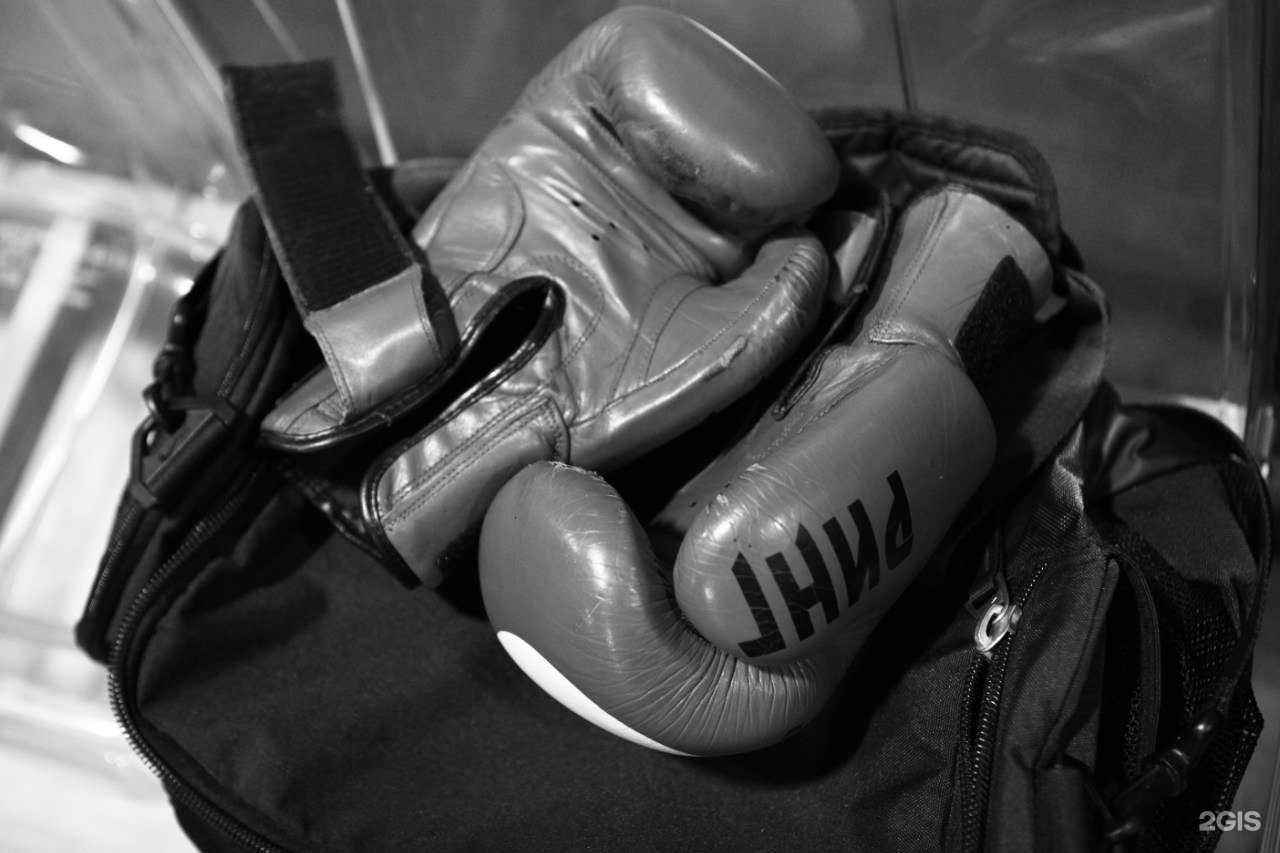 Отзывы на компанию Школа тайского бокса В. Семёнова в Кемерове c фото