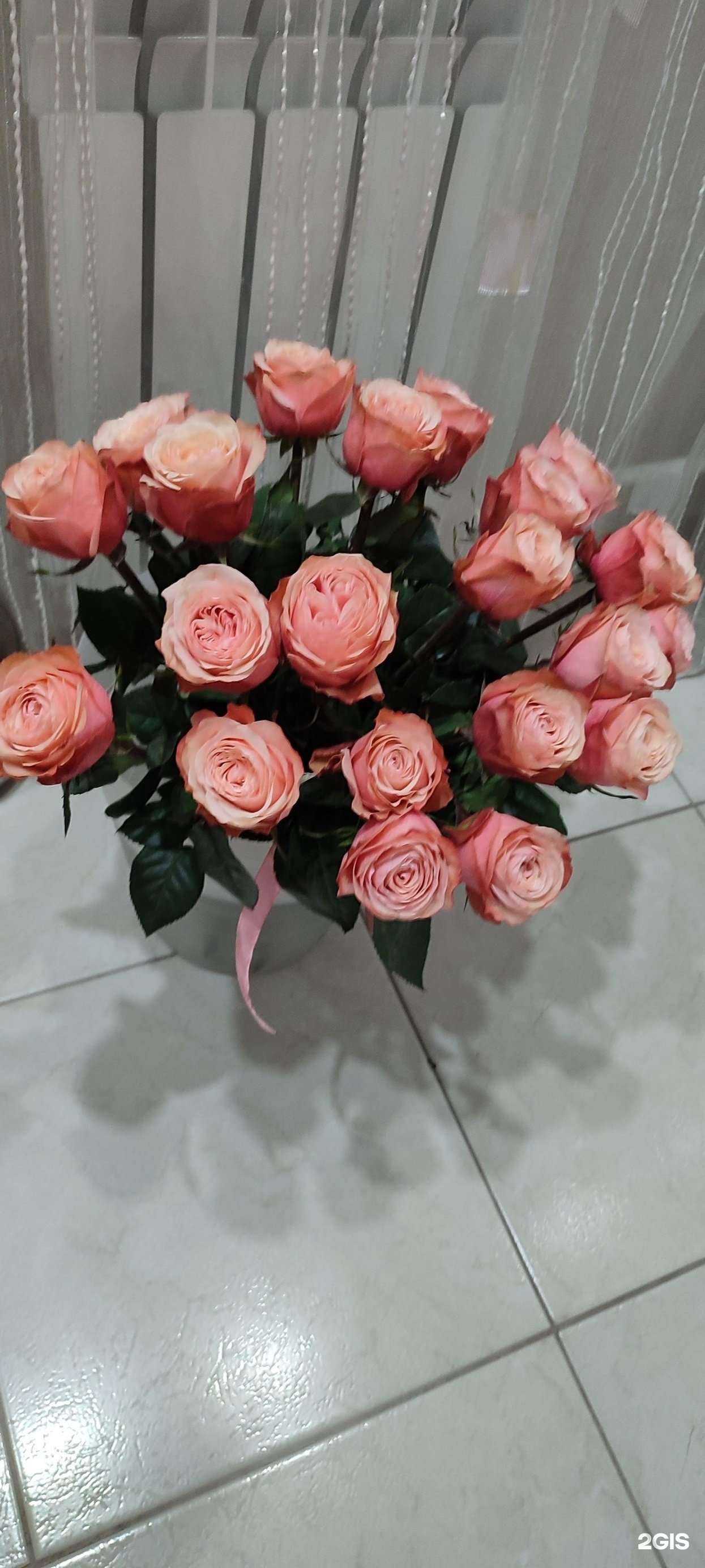 Отзывы на компанию Rianna в Уфе c фото