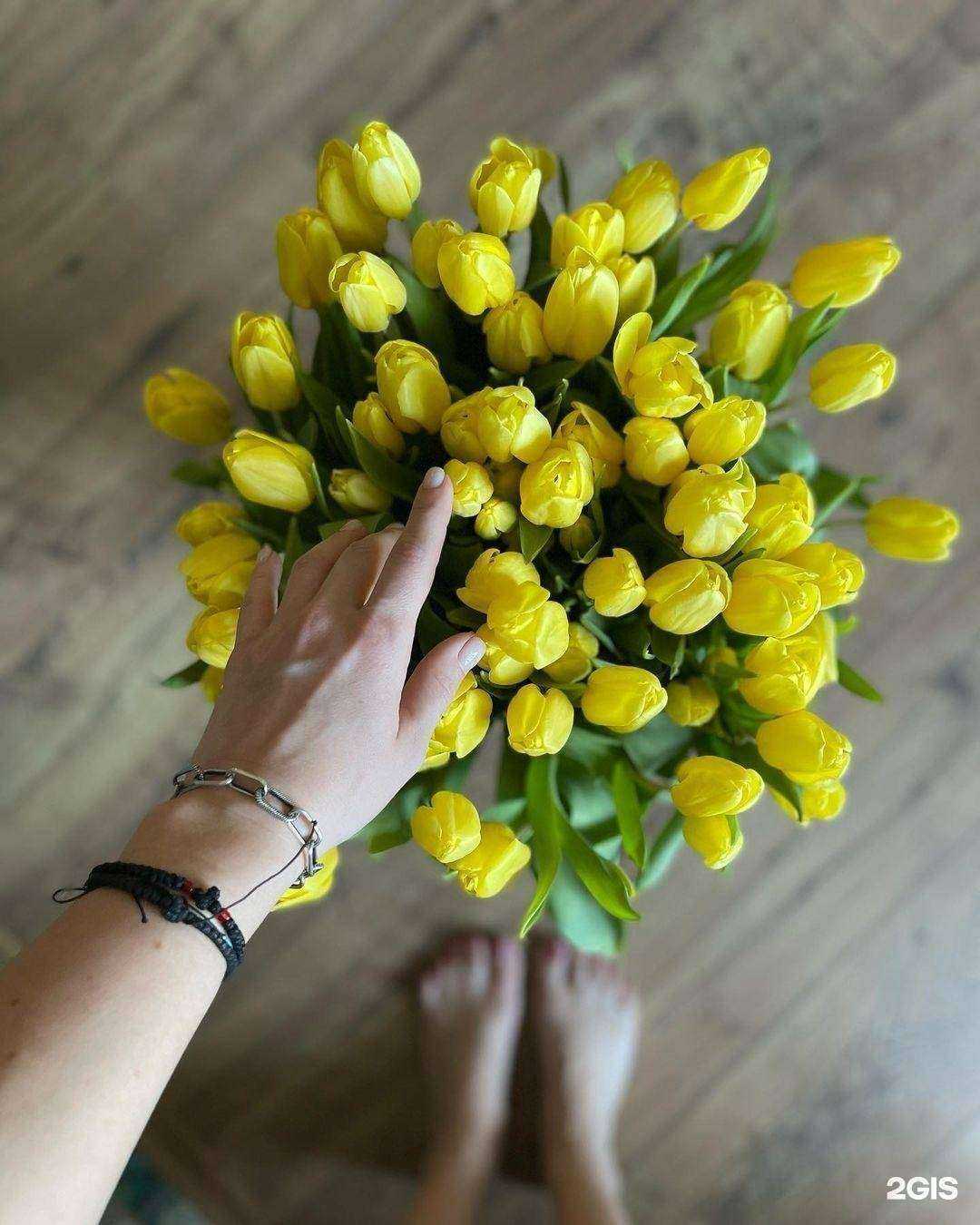 Отзывы на компанию Без границ в Ярославле c фото