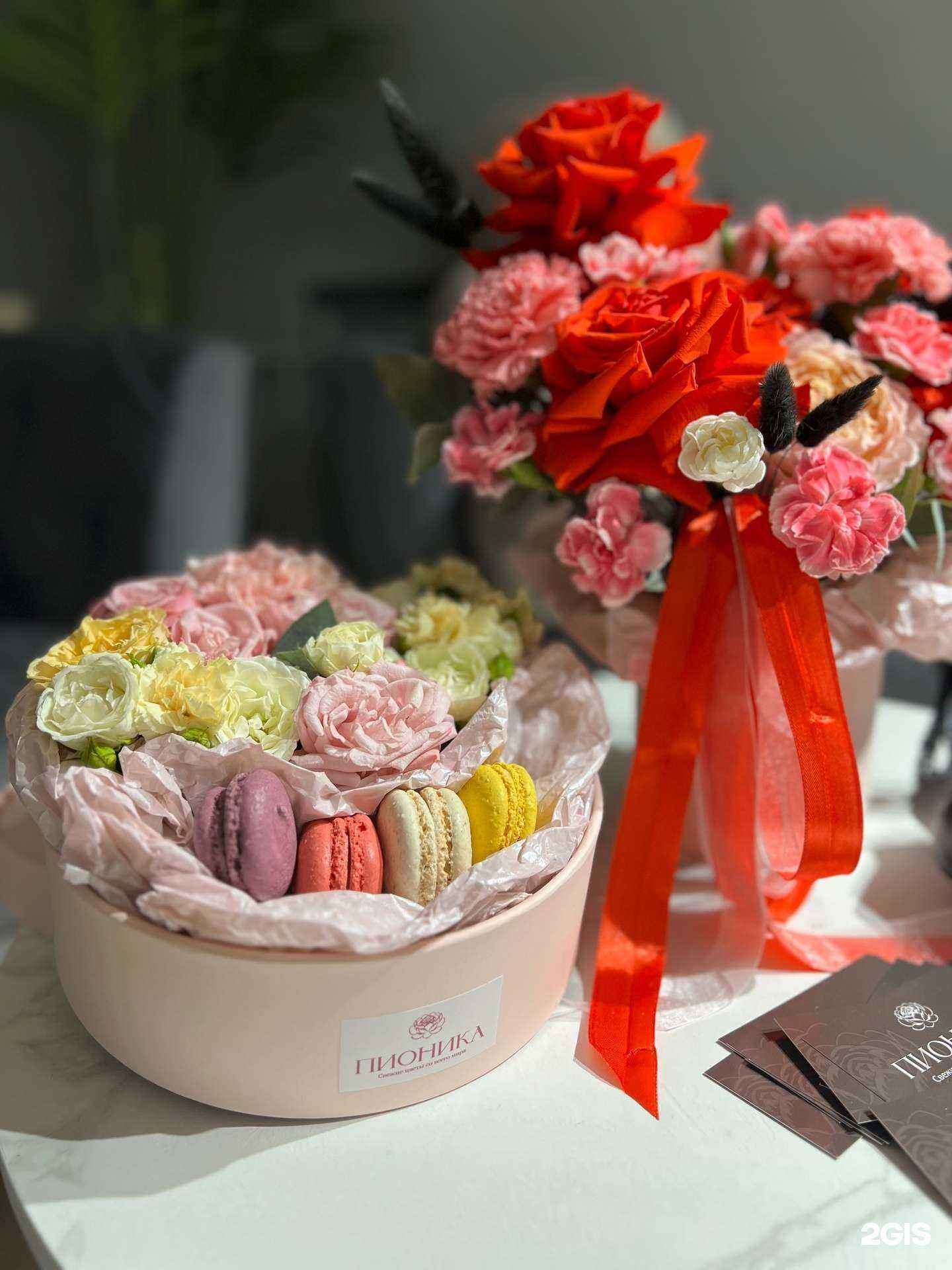 Отзывы на компанию Пионика в г. Северодвинск c фото