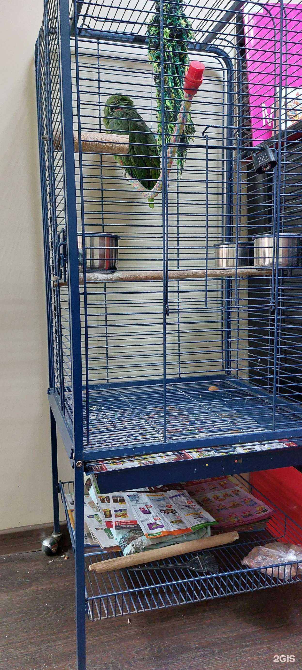 Отзывы на компанию Мария в г. Нижний Тагил c фото