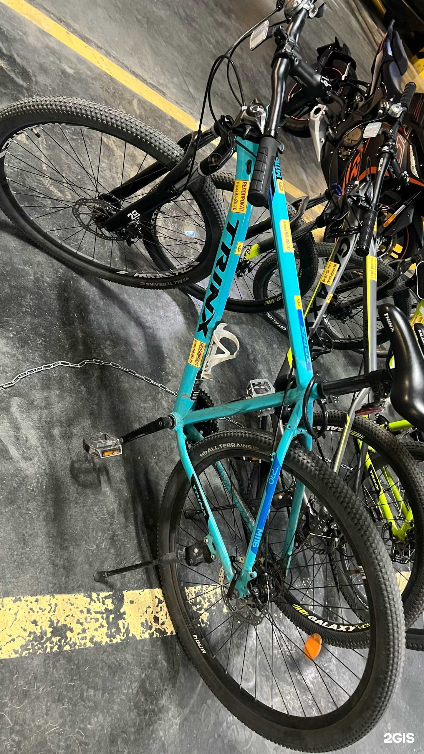 Отзывы на компанию Велопрокат72 в Тюмени c фото