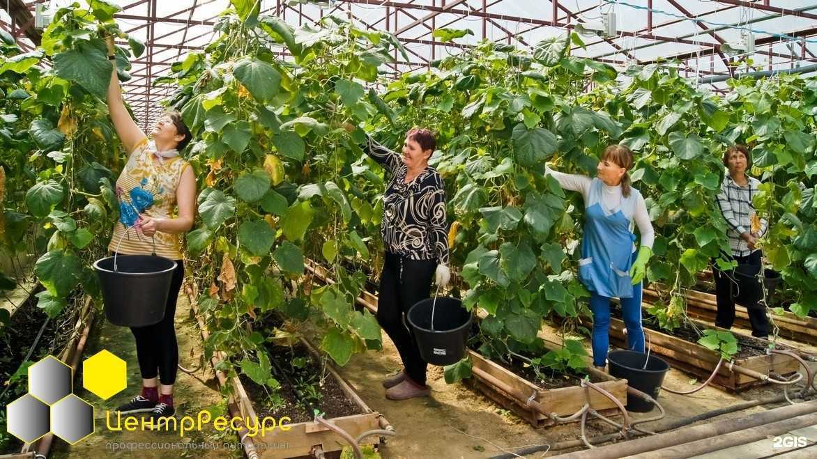 Отзывы на компанию ЦентрРесурс в г. Смоленск c фото