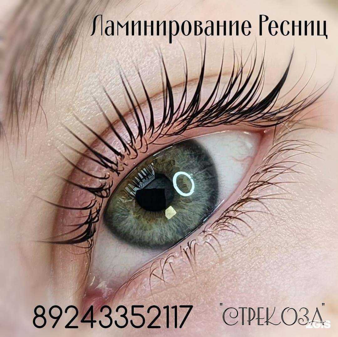 Отзывы на компанию Стрекоза в Уссурийске c фото