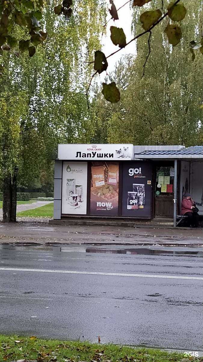 Отзывы на компанию ЛапУшки в Пскове c фото