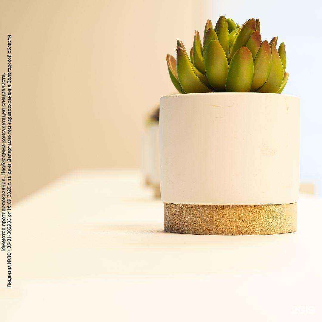 Отзывы на компанию Медэксперт в Череповце c фото