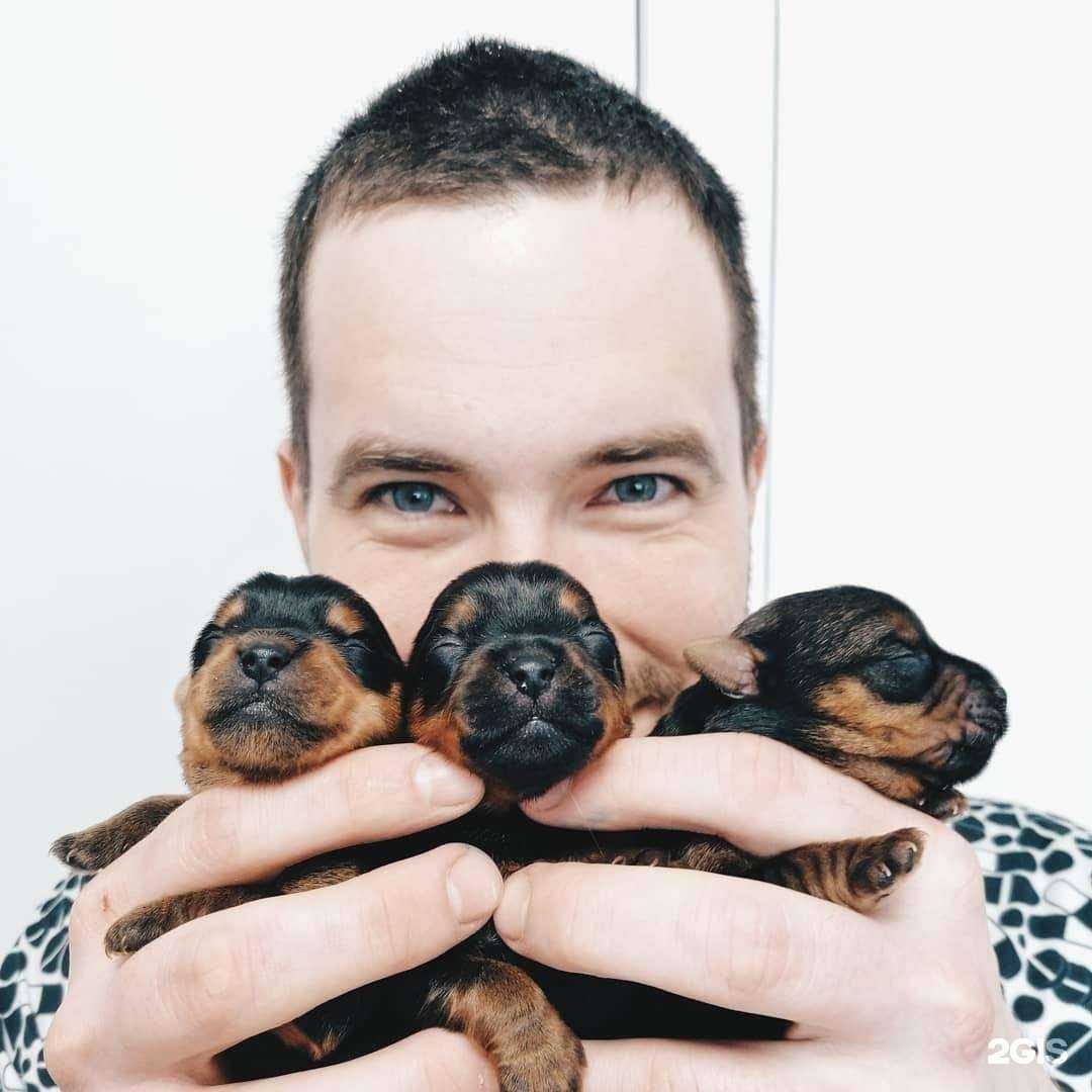 Отзывы на компанию Ветеринарный кабинет в г. Краснодар c фото