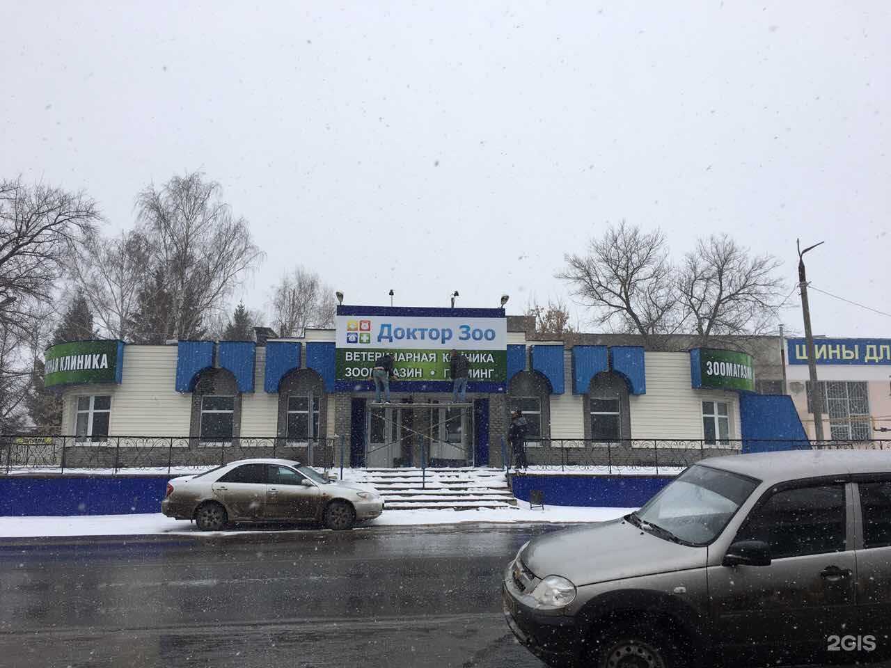 Отзывы на компанию Доктор Зоо в Кузнецке c фото - фотография 2 из 2