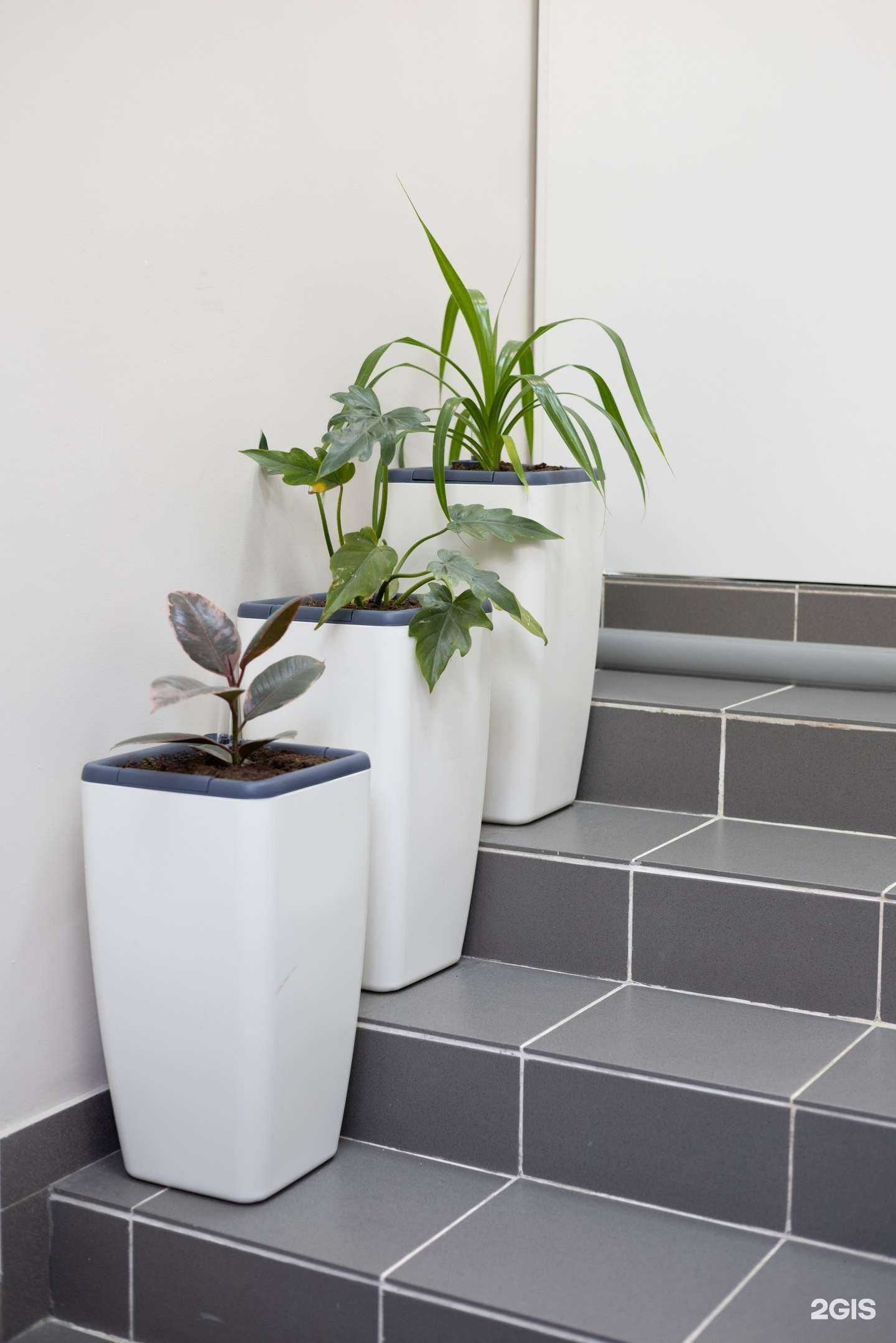 Отзывы на компанию Начало в Ростове-на-Дону c фото