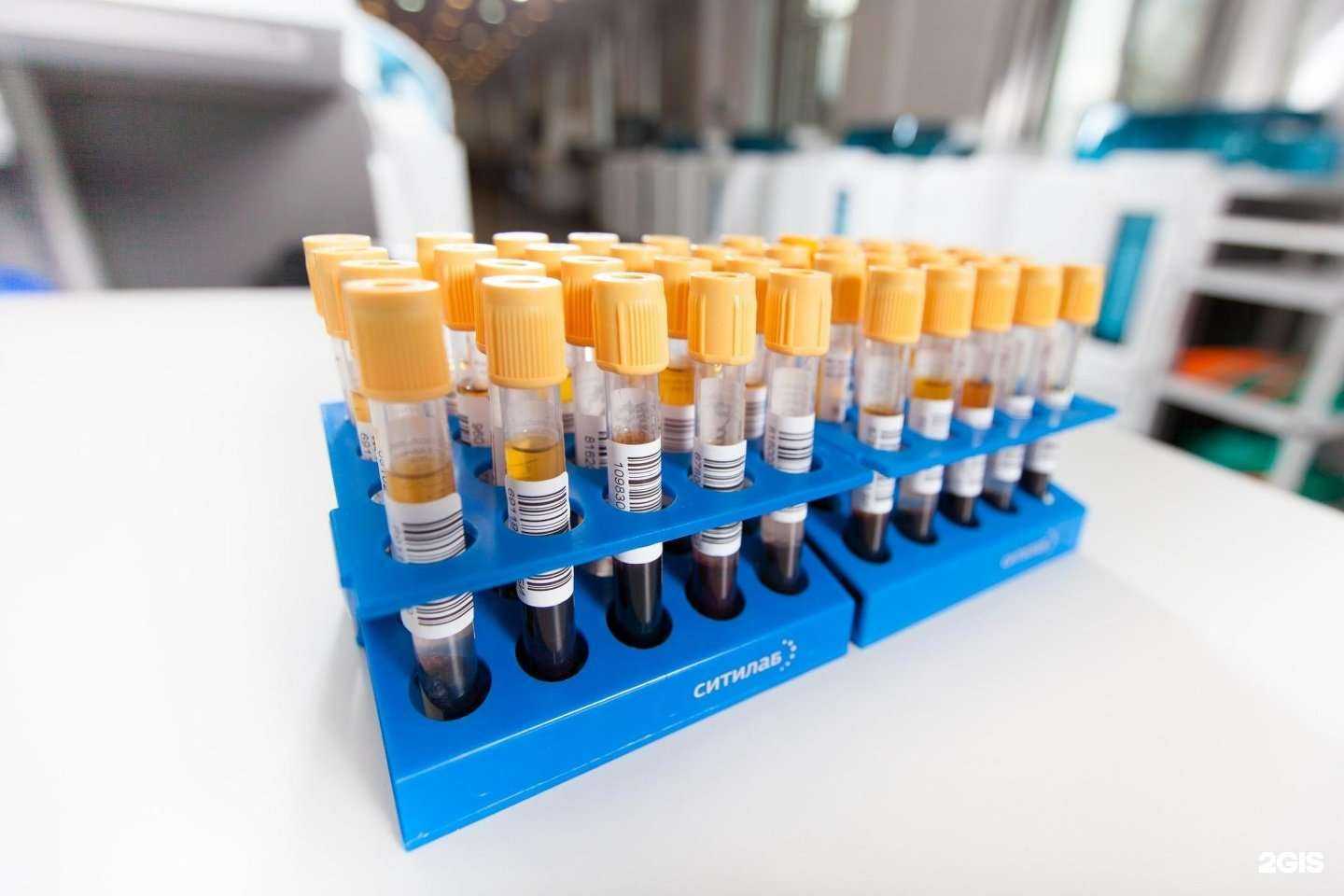 Отзывы на компанию Ситилаб в г. Ростов-на-Дону c фото