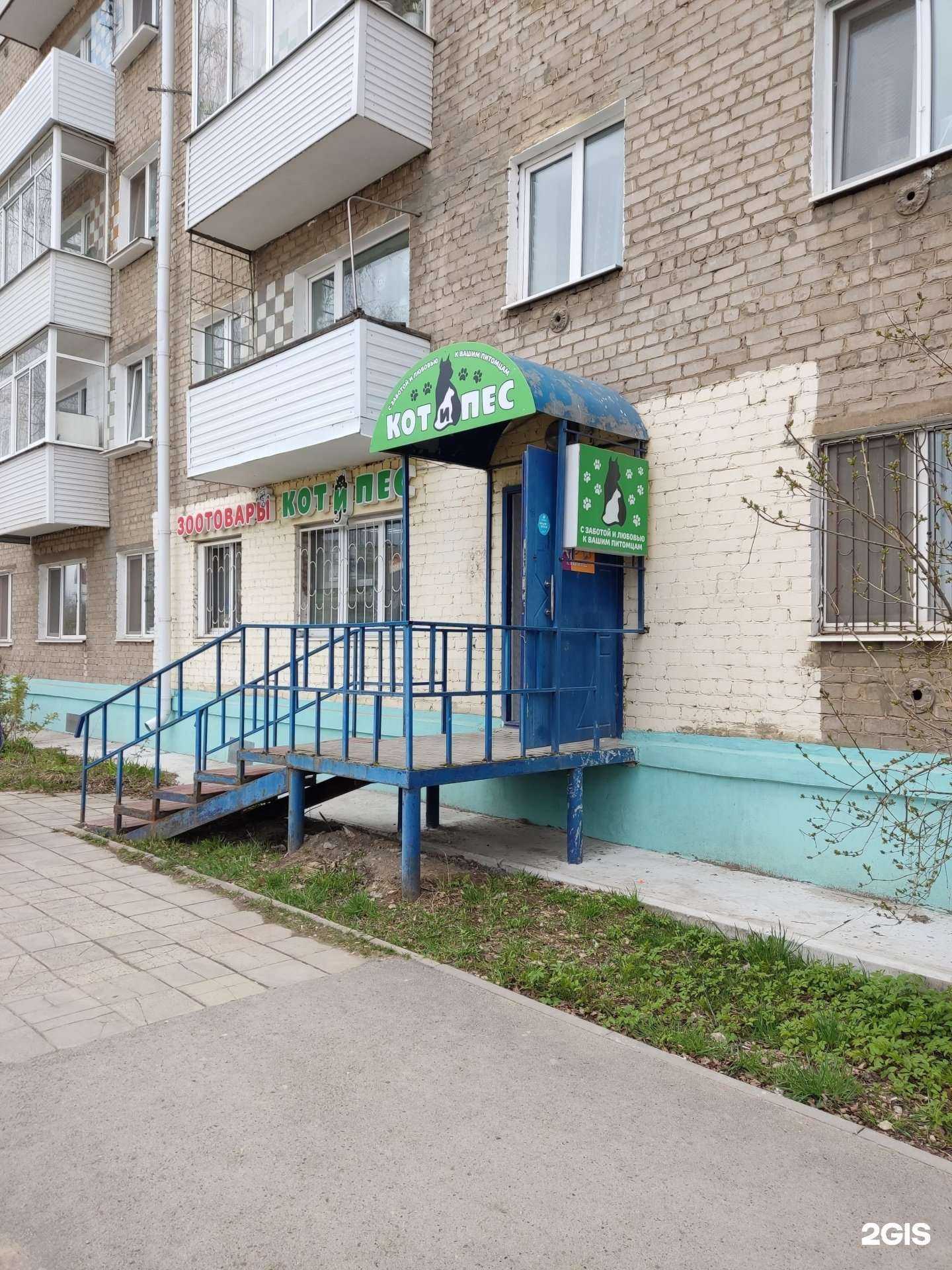 Отзывы на компанию Кот и пес в г. Краснокамск c фото