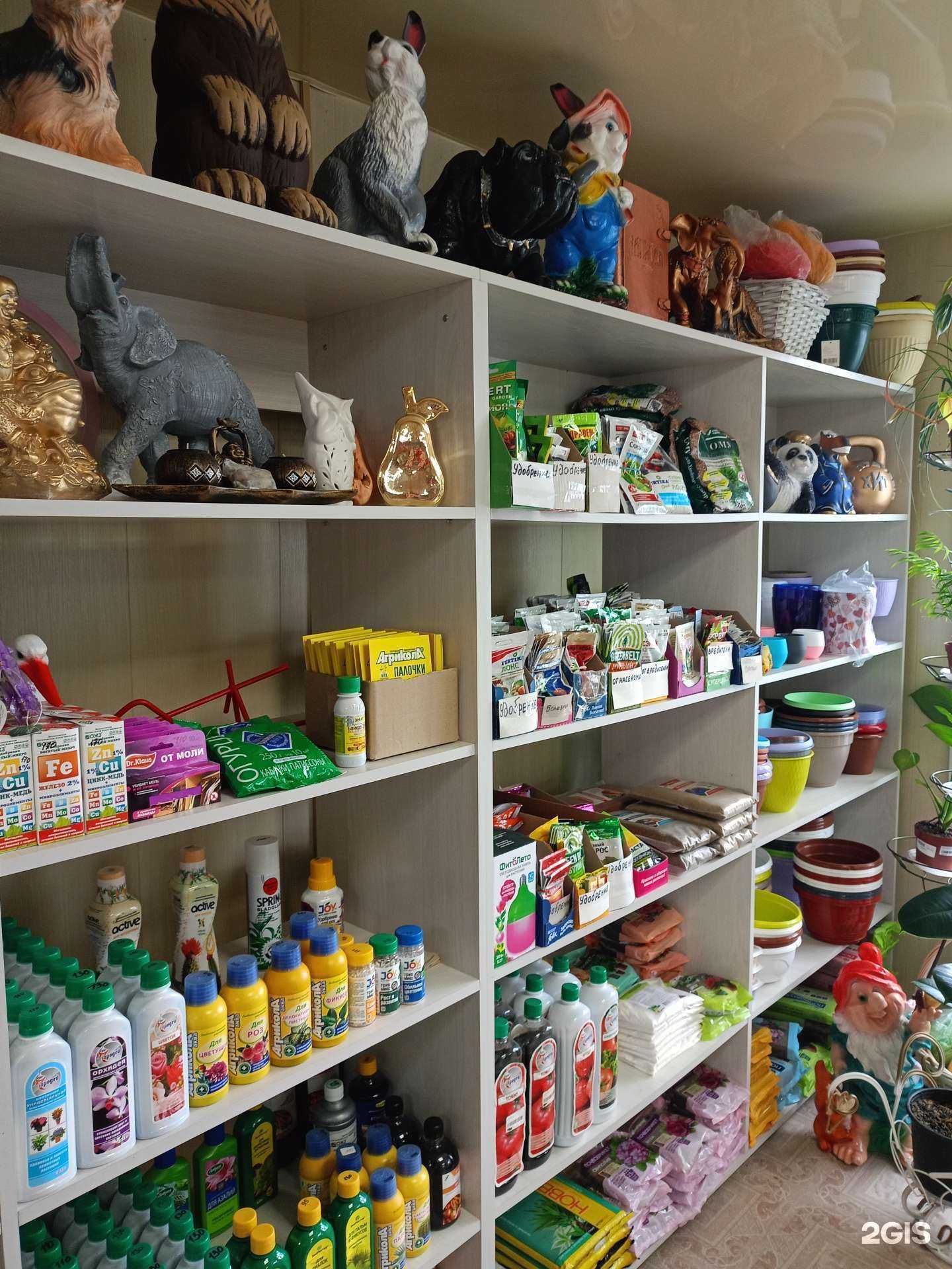 Отзывы на компанию Флормажор в г. Искитим c фото