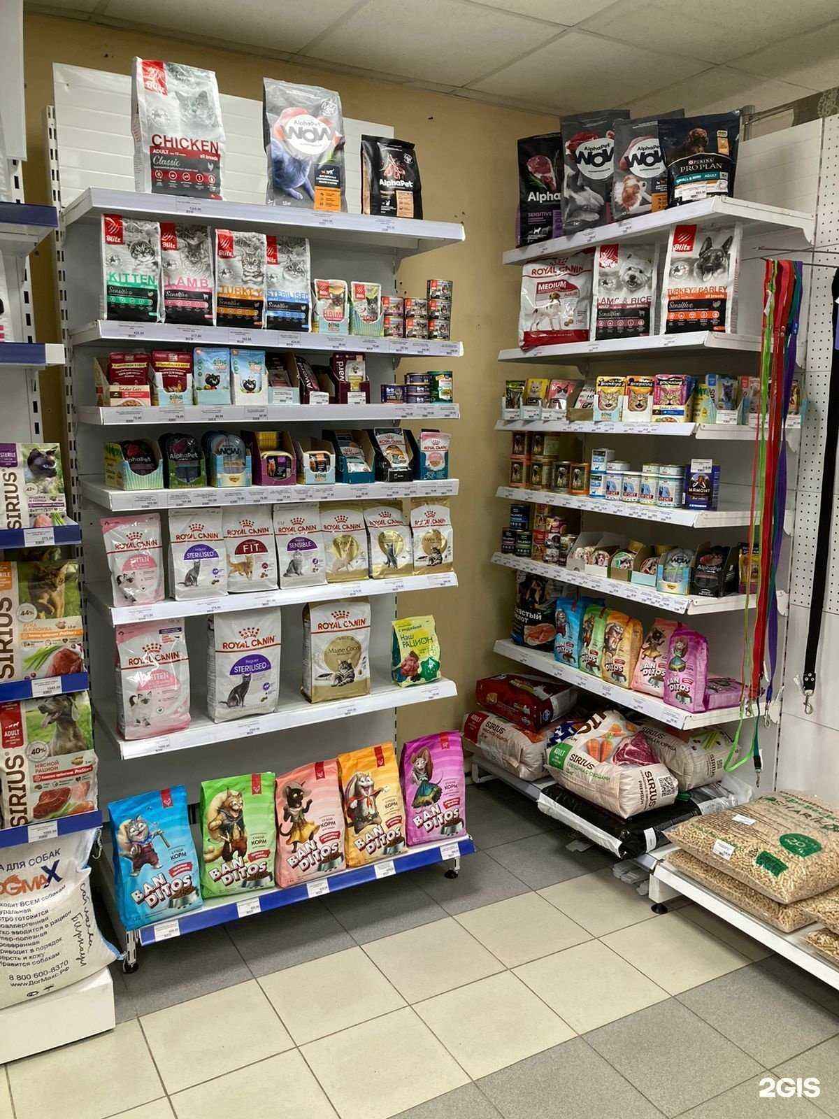 Отзывы на компанию Zoocity в г. Барнаул c фото