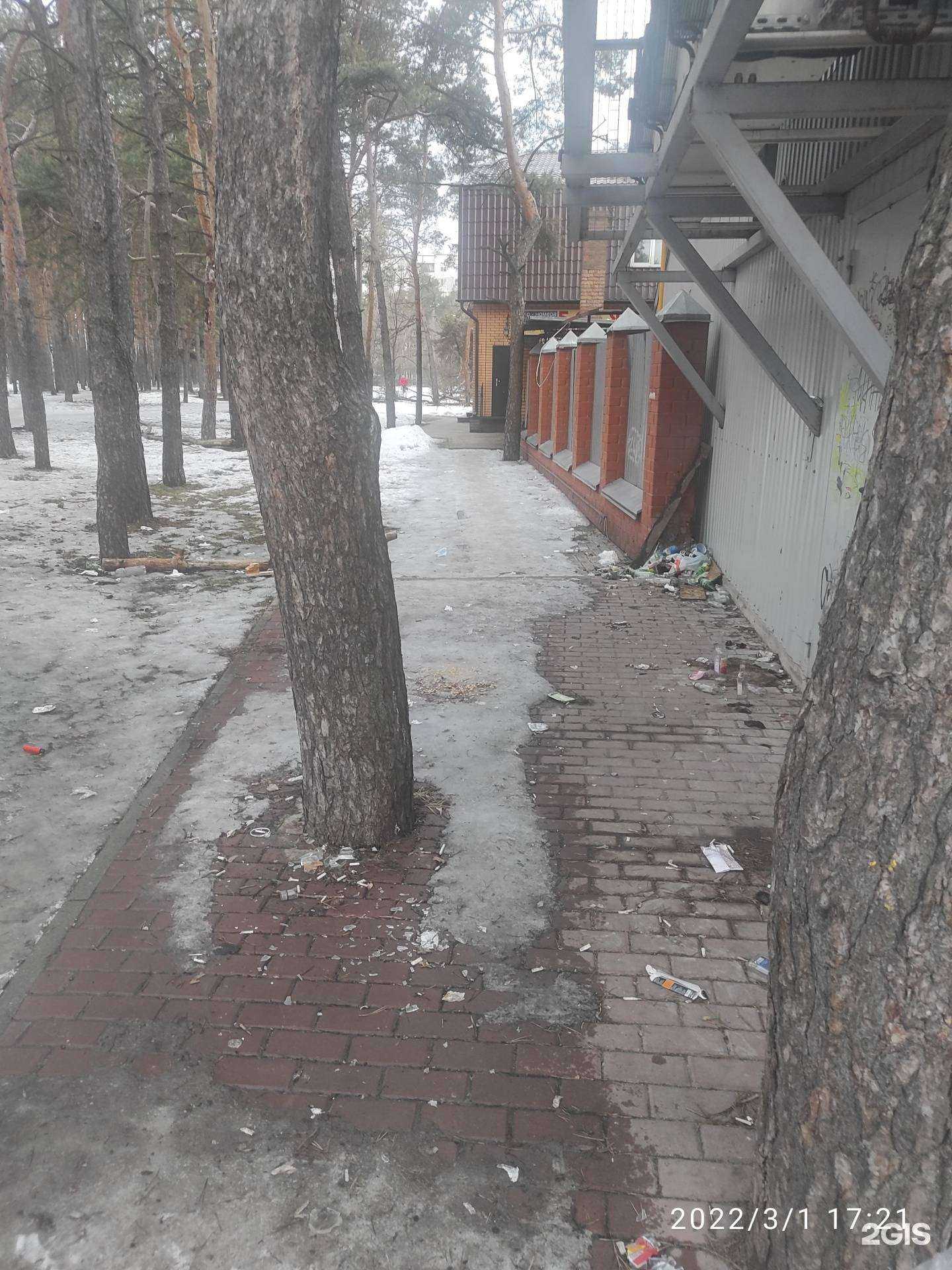 Отзывы на компанию Ковчег в г. Курск c фото