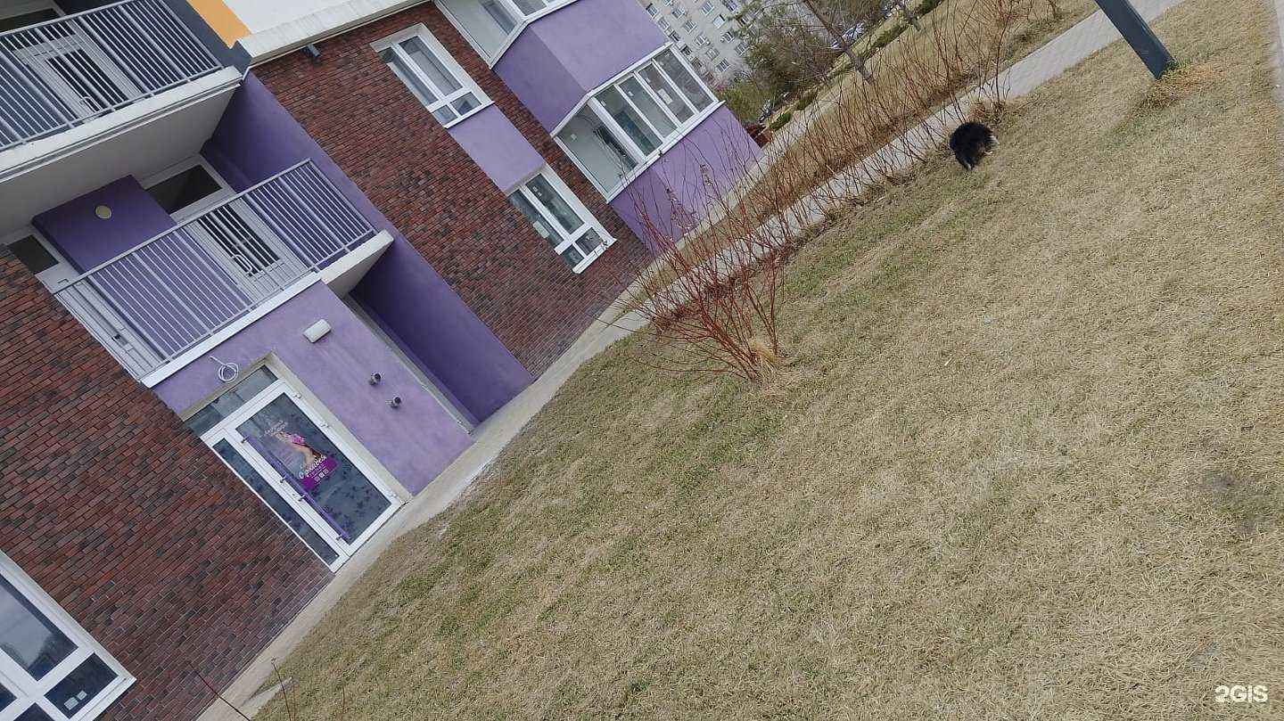 Отзывы на компанию Орхидея в г. Ульяновск c фото