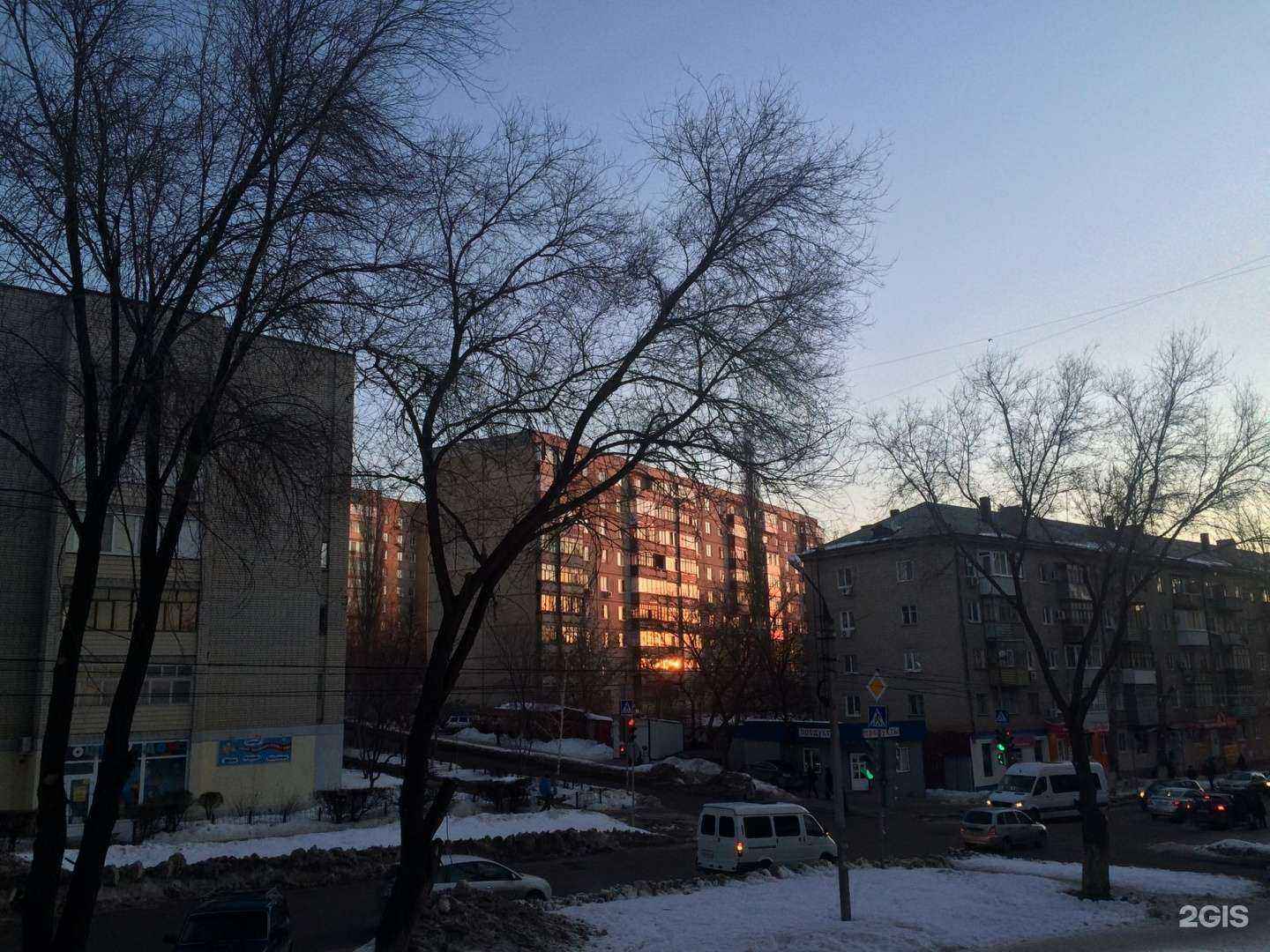 Отзывы на компанию Дубки в Саратове c фото - фотография 2 из 2