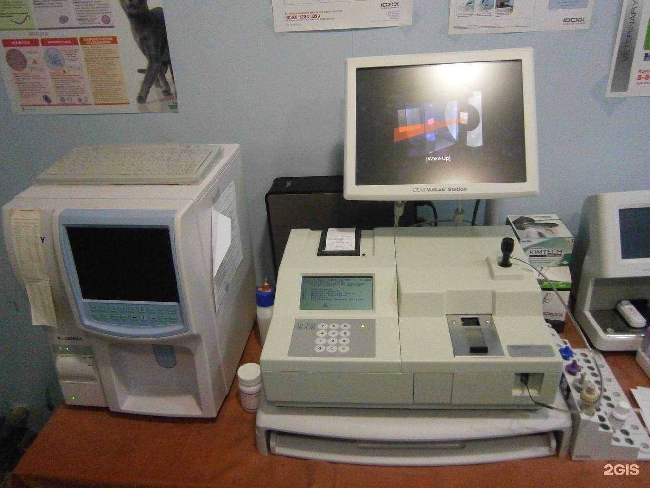 Отзывы на компанию Ветеринарная клиника в г. Тольятти c фото