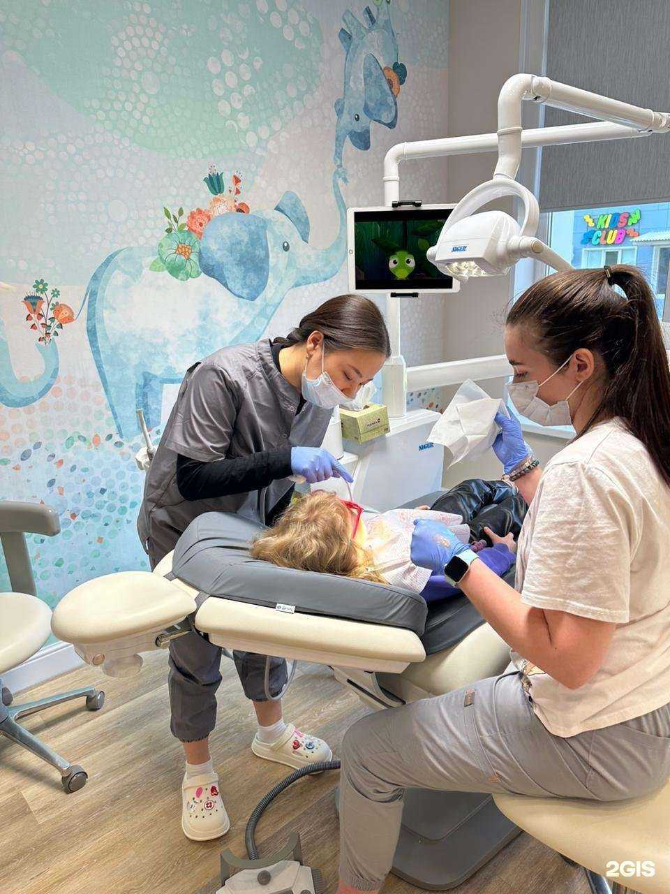 Отзывы на компанию Elephant в г. Владивосток c фото