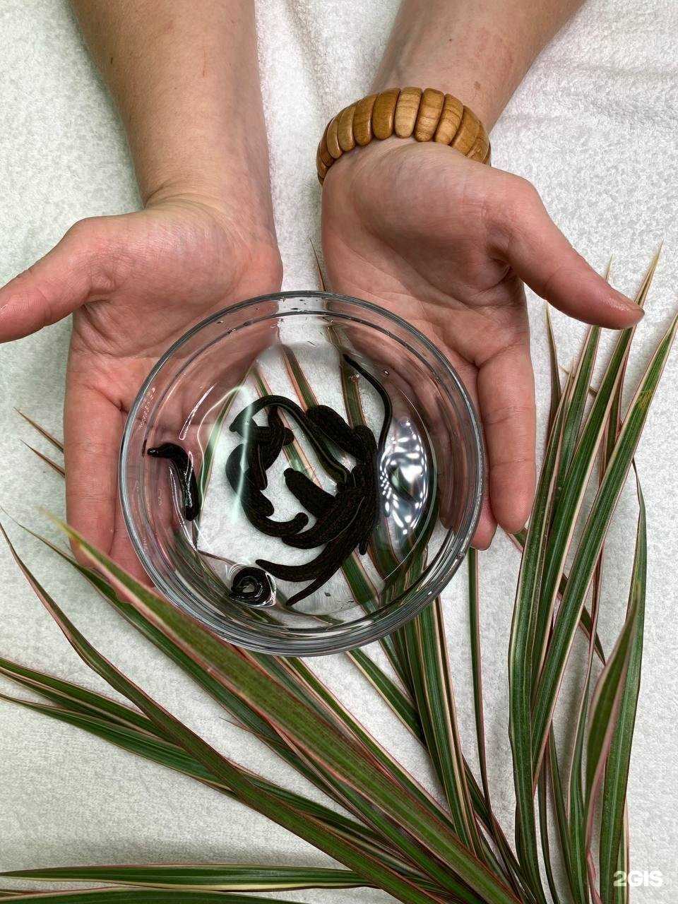 Отзывы на компанию Здрава Югры в г. Сургут c фото