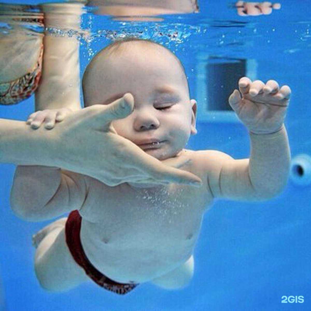 Отзывы на компанию ТоТо в г. Ростов-на-Дону c фото