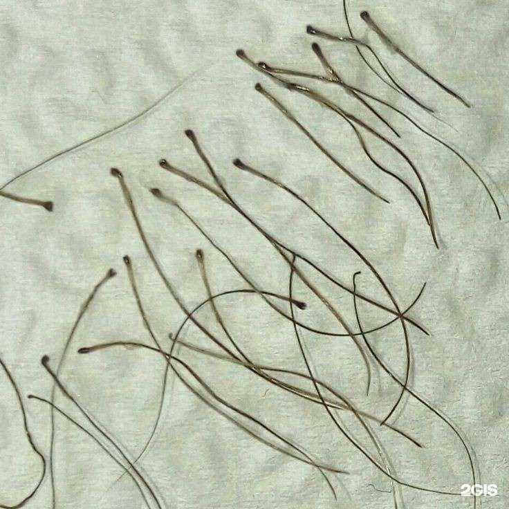 Отзывы на компанию Insana, студия эпиляции в Тюмени c фото