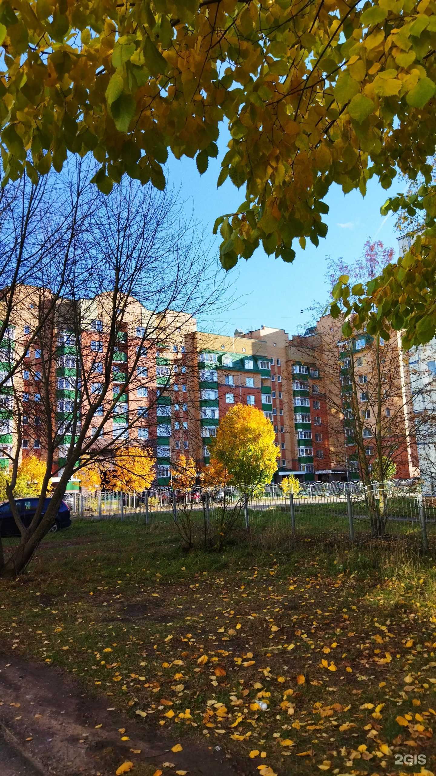 Отзывы на компанию Верный Друг в г. Удомля c фото