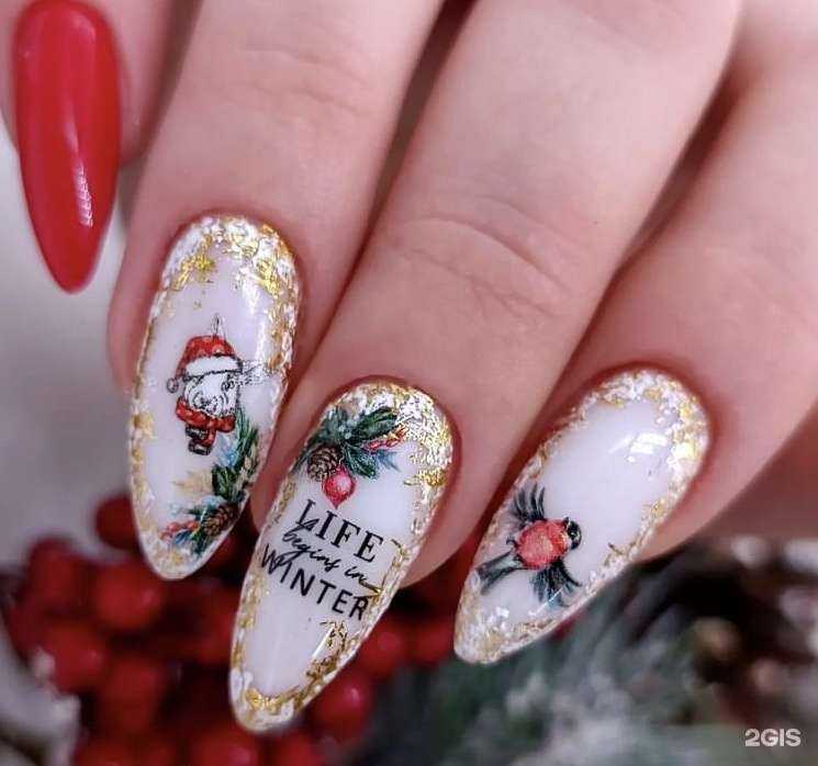 Отзывы на компанию Венера в г. Чита c фото